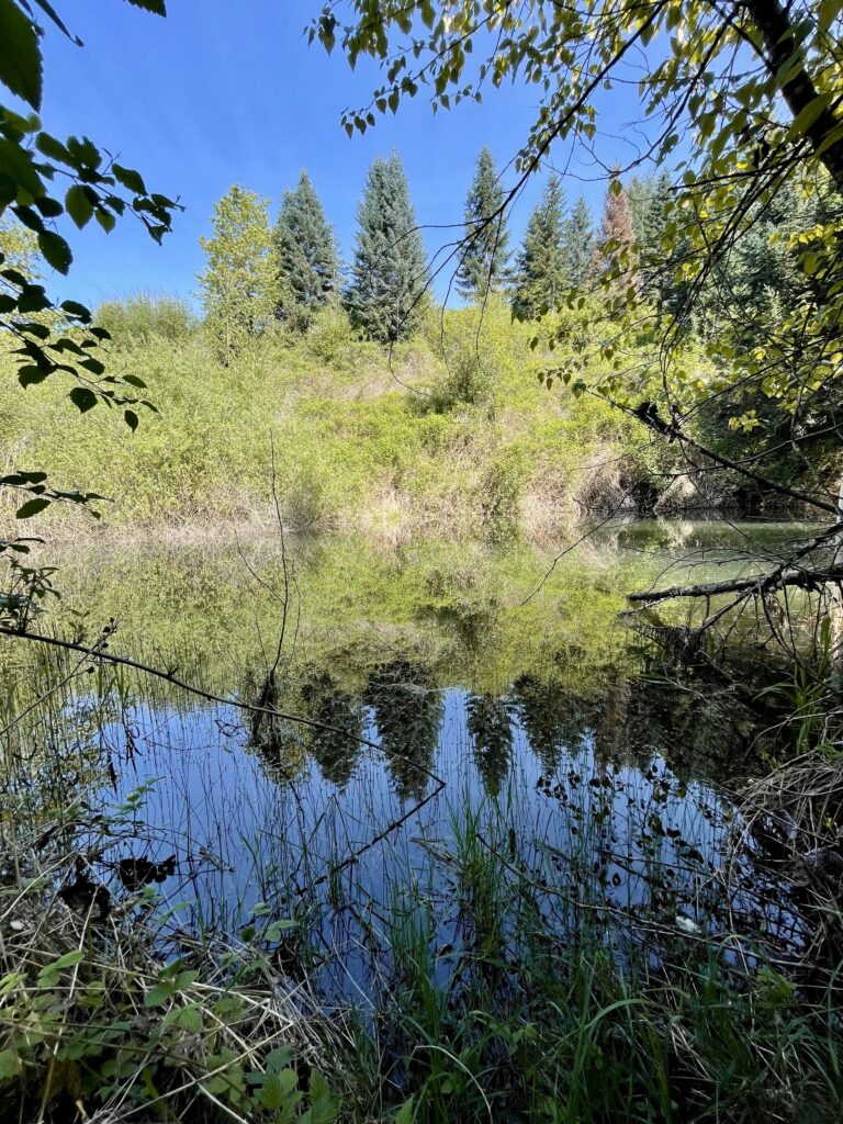 homes with a pond for sale