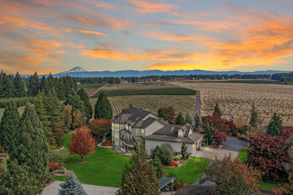 homes with a view for sale