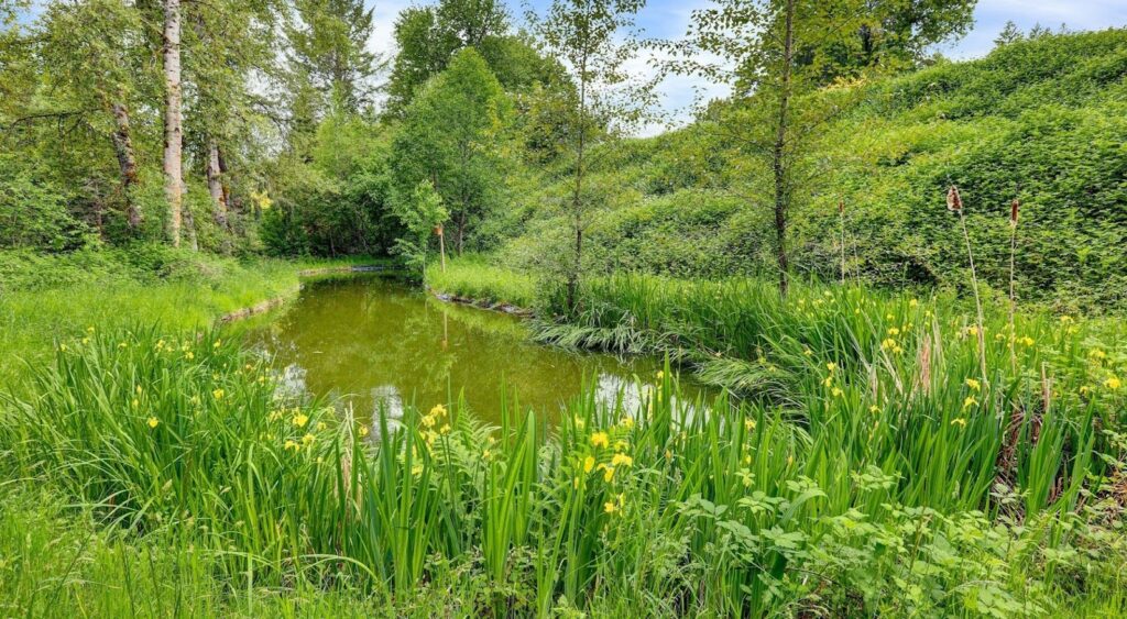 42400 SE MARMOT RD, SANDY, OR 97055