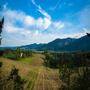 homes for sale dundee oregon