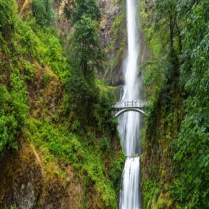 homes for sale skamania washington