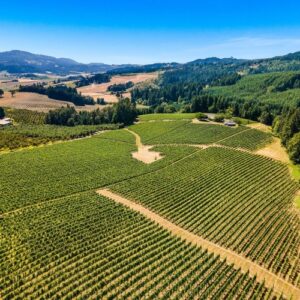 orchards or sale parkdale